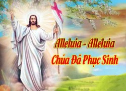 Chúa Nhật Phục Sinh Năm A: Chúa đã sống lại! Alleluia