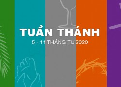 Tuan Thanh00b