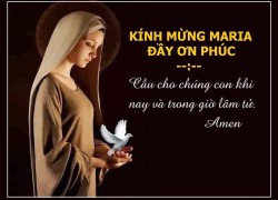 Trở Về Với Thiên Chúa Nhờ Kinh Kính Mừng Maria