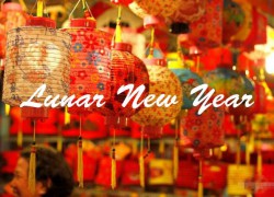 Vietnamese lunar new year tet