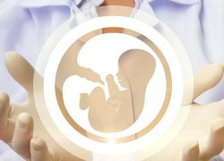 TGP Sài Gòn - Đồng hành cùng gia đình trẻ: Hiếm muộn - Thụ tinh nhân tạo - mang thai hộ