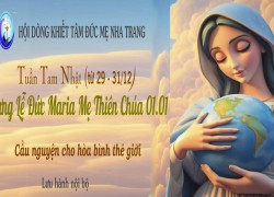 Tuần Tam Nhật (từ 29-31/12) Mừng Lễ Đức Maria Mẹ Thiên Chúa 01.01