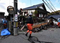 Đức Thánh Cha liên đới và cầu nguyện cho các nạn nhân động đất ở Nhật Bản