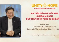 Đại Diện Giáo Hội Việt Nam Cùng Chào Đón Đức Thánh Cha Tông Du Singapore