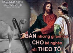 Chúa Nhật XXVIII Thường Niên – Năm B