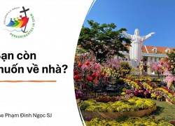 Bạn còn muốn về nhà?