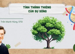 Tính Thánh Thiêng Của Sự Sống - Lm Phêrô...