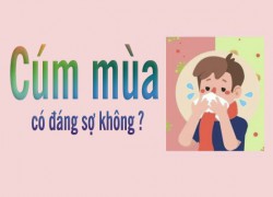 Cúm mùa có đáng sợ không? TS. BS Nguyễn Thùy Vân Thảo - Ths Tâm lý Lâm sàng Vương Nguyễn Toàn Thiện