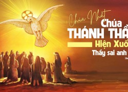 Bài giảng của ĐTC Lêô XIV lễ Chúa Thánh...