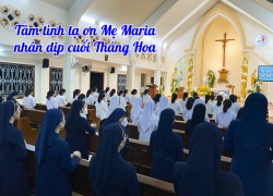 Tâm tình tạ ơn Mẹ Maria nhân dịp cuối Tháng Hoa