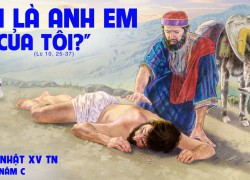 Chúa Nhật XV Thường Niên – Năm C