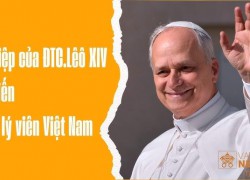 Sứ điệp ĐTC Lêô XIV gửi đến Giáo lý viên Việt Nam