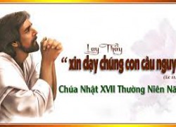 Chúa Nhật XVII Thường Niên – Năm C