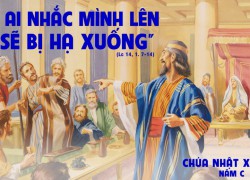 Chúa Nhật XXII Thường Niên – Năm C
