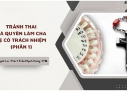 Tránh thai và quyền làm cha mẹ có trách nhiệm (Phần 1) Linh mục Phêrô Trần Mạnh Hùng