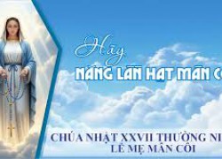 Chúa Nhật XXVII Thường Niên Năm C - Kính Trọng Thể Đức Mẹ Mân Côi