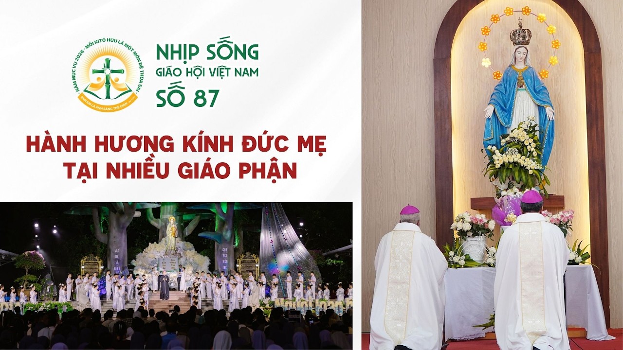 Hành hương kính Đức Mẹ tại nhiều giáo phận - Nhịp sống Giáo hội Việt Nam số 87 (11/8/2026 - 17/8/2026)