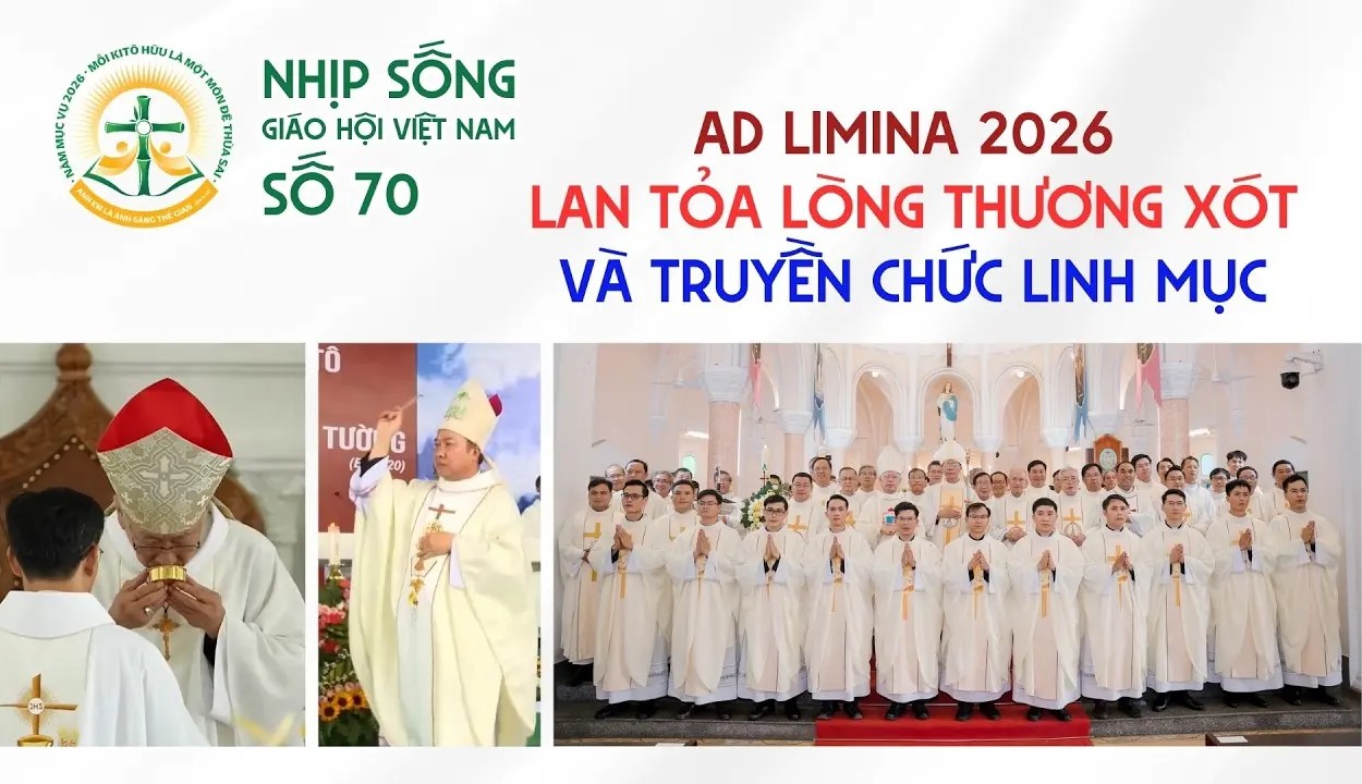 Ad Limina 2026, Lan tỏa lòng thương xót và truyền chức linh mục - Nhịp sống Giáo hội Việt Nam số 70 (13/3/2026 - 20/4/2026)