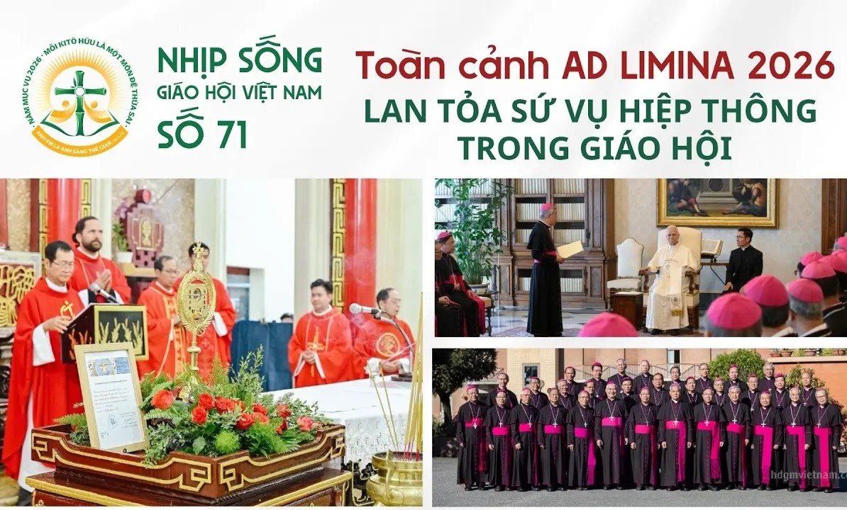 Toàn cảnh Ad Limina 2026 - Lan tỏa sứ vụ hiệp thông trong xã hội - Nhịp sống Giáo hội Việt Nam số 71 (21/4/2026 - 27/4/2026)
