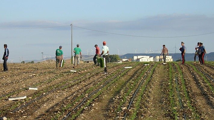 Người lao động đang tham gia vào dây chuyền sản xuất nông sản  (ANSA)