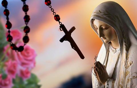 Xin Đức Bà Mân Côi Fatima Cứu Chúng Con