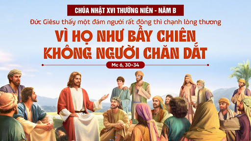 Chúa Nhật XVI Thường Niên – Năm B