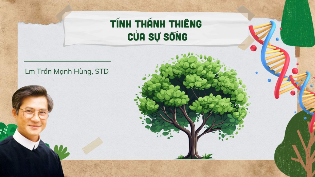 Tính Thánh Thiêng Của Sự Sống - Lm Phêrô Trần Mạnh Hùng