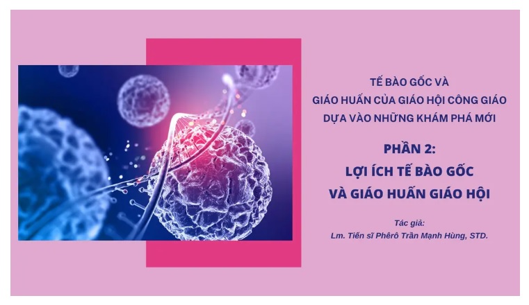 Tế Bào Gốc Và Giáo Huấn Của Giáo Hội Công Giáo Dựa Vào Những Khám Phá Mới - Phần 2