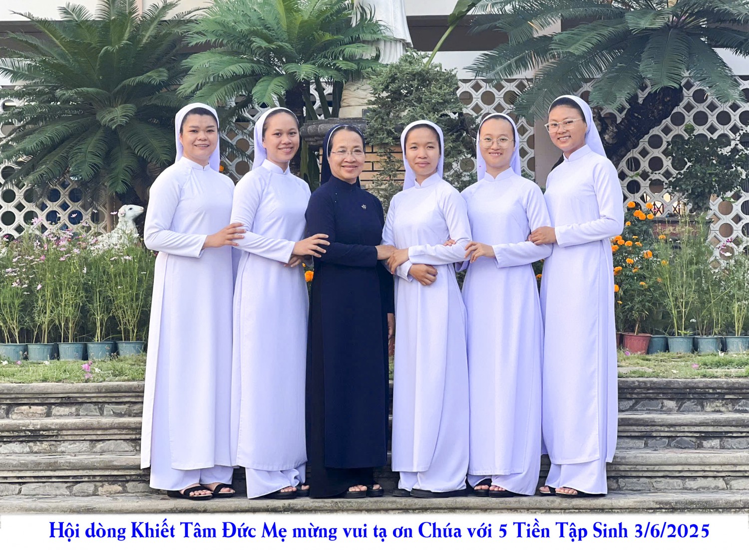 tien tap sinh 2025