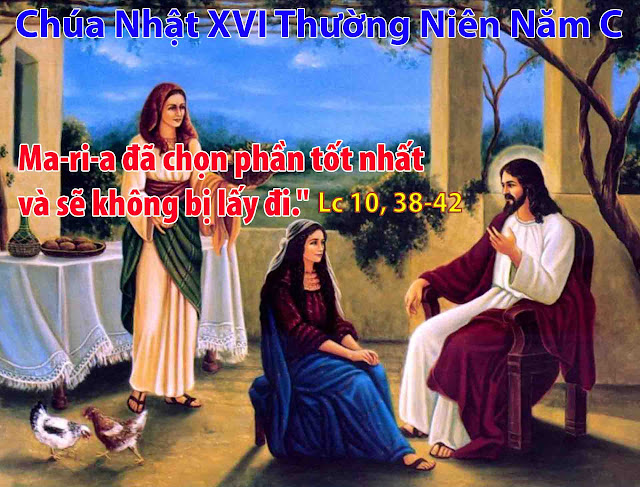 16TNC CN