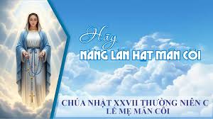 Chúa Nhật XXVII Thường Niên Năm C - Kính Trọng Thể Đức Mẹ Mân Côi