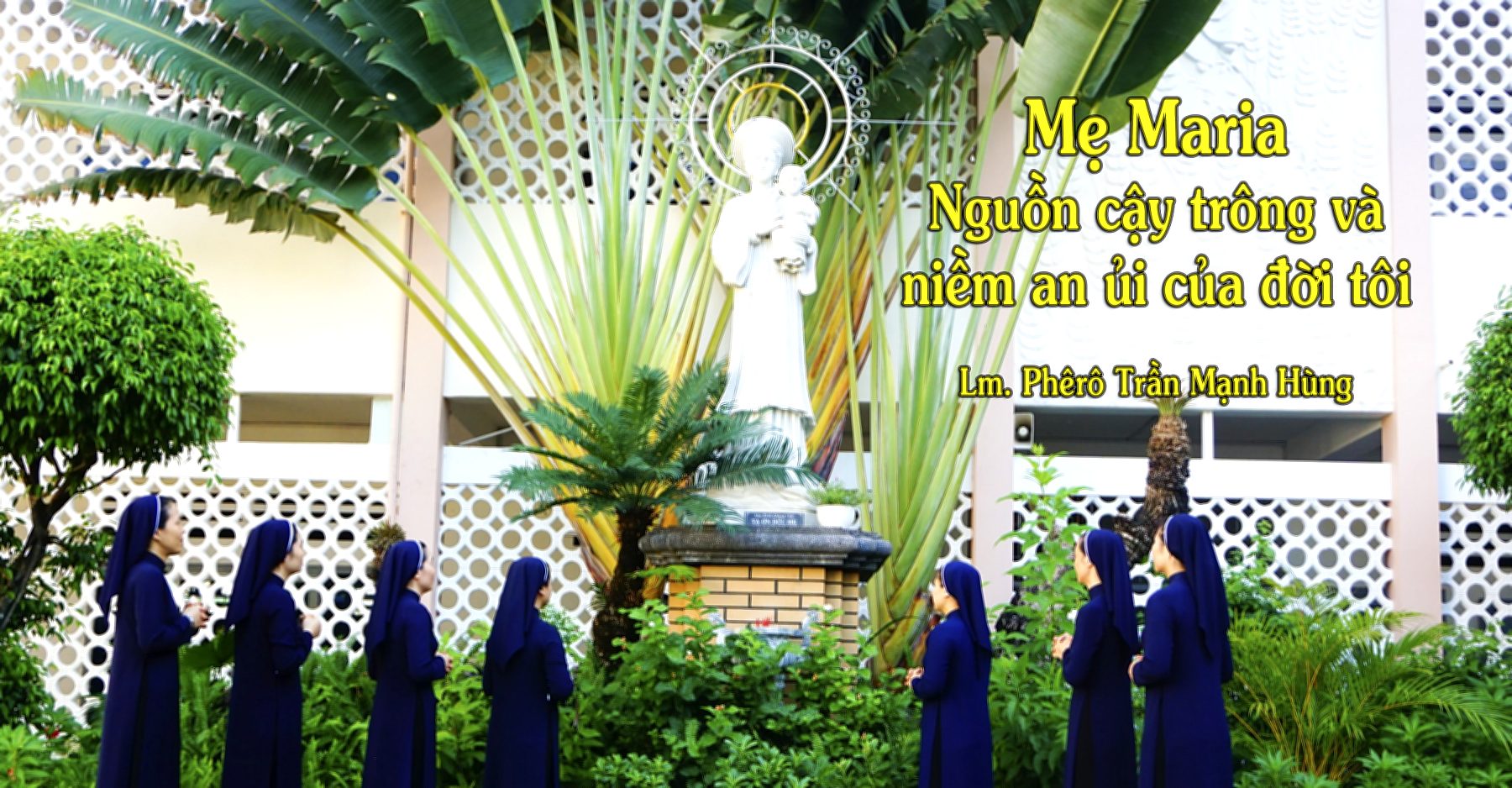 Mẹ Maria - Nguồn cậy trông và niềm an ủi của đời tôi